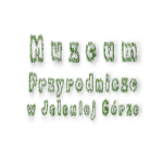 Muzeum Cieplice